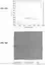 Fig. 21 - METHOD AND SYSTEM FOR LOW EMISSIVITY, COLOR NEUTRAL INSULATED GLASS UNITS WITH TRANSPARENT PHOTOVOLTAICS