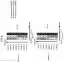 Fig. 82 - Signal generation method and signal generation device