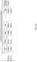 Fig. 11 - TERMINAL AND RADIO COMMUNICATION METHOD