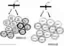 Fig. 01 - Network entity, user equipment, and method