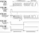 Fig. 04 - OPTICAL RECEIVER AND STATION-SIDE DEVICE
