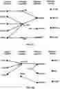 Fig. 06 - Wireless device and wireless network processes for feedback enhancement