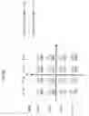 Fig. 81 - METHOD OF SIGNAL GENERATION AND SIGNAL GENERATING DEVICE