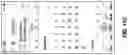 Fig. 30 - Method and system for proximity-based contact transfer