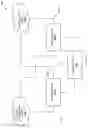 Fig. 16 - Multi-logical-port data traffic stream preservation system