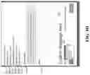 Fig. 17 - Systems and methods for predicting personalization and intelligent routing