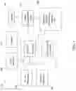 Fig. 02 - WORLD-FACING CAMERA ON ELECTRONIC DEVICE