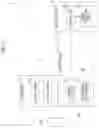 Fig. 02 - ENDOSCOPE SYSTEM, ADAPTOR USED FOR ENDOSCOPE, AND METHOD OF OPERATING ENDOSCOPE
