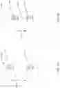 Fig. 02 - DYNAMIC VIDEO CONFERENCE GENERATION AND SEGMENTATION