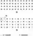 Fig. 01 - Video signal processing method and device