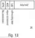 Fig. 17 - Scene section and region of interest handling in video streaming