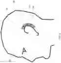 Fig. 07 - System and method for dynamic line-of-sight multi-source audio control