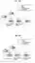 Fig. 17 - Method and apparatus for mutual coexistence communication in wireless LAN