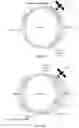 Fig. 07 - NETWORK SELECTION FOR SATELLITE ACCESS