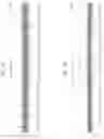 Fig. 11 - Active geo-location for orthogonal frequency division multiplex wireless local area network devices using additive correlation in the time domain