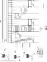 Fig. 04 - Category 2 (CAT2) listen-before-transmit (LBT) operations for wireless communications