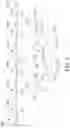 Fig. 05 - Storage device for flexible circuit packages and carrier thereof