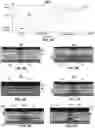 Fig. 04 - Active heat sink