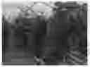 Fig. 01 - Raspberry plant named ‘Plapink 14103’