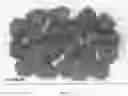 Fig. 15 - Raspberry plant named ‘Plapink 14103’