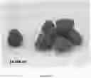 Fig. 16 - Raspberry plant named ‘Plapink 14116’