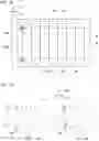 Fig. 09 - Traveling Route Setting Device