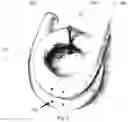 Fig. 03 - EFFECTIVE AND BENEFICIAL VESSELS AND METHOD FOR GROWING PLANTS TO MANIPULATE ROOT GROWTH