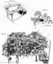 Fig. 06 - SYSTEMS AND METHODS FOR HIGH-YIELD HYDROPONIC GARDENING IN CHALLENGING ENVIRONMENTS