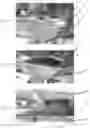 Fig. 08 - SYSTEMS AND METHODS FOR HIGH-YIELD HYDROPONIC GARDENING IN CHALLENGING ENVIRONMENTS