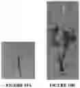 Fig. 20 - Methods and compositions for axillary shoot micropropagation of and related plants