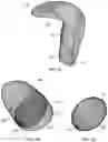 Fig. 07 - COLLAPSIBLE BAIT NET