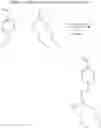 Fig. 28 - Antimicrobial thiouronium copolymers and methods of making and using the same