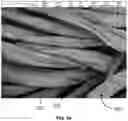 Fig. 04 - METAL-INFUSED ANTIMICROBIAL MATERIAL AND METHOD OF PREPARATION THEREOF