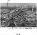 Fig. 05 - METAL-INFUSED ANTIMICROBIAL MATERIAL AND METHOD OF PREPARATION THEREOF