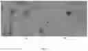 Fig. 06 - Anti-viral formulation of active nano ingredients for coating on personal protective equipment and for aerosol based disinfectant composition