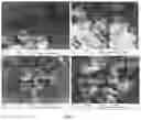 Fig. 07 - Anti-viral formulation of active nano ingredients for coating on personal protective equipment and for aerosol based disinfectant composition