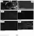 Fig. 09 - Anti-viral formulation of active nano ingredients for coating on personal protective equipment and for aerosol based disinfectant composition
