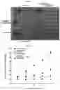 Fig. 02 - Composition for promoting growth of effective microorganism and controlling plant disease using prebiotics, and use thereof
