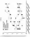 Fig. 04 - Composition for promoting growth of effective microorganism and controlling plant disease using prebiotics, and use thereof