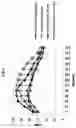 Fig. 02 - Encapsulation