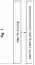 Fig. 02 - ALLOMYRINA DICHOTOMA LARVA EXTRACT AND METHOD FOR PREPARING SAME