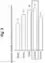 Fig. 04 - ALLOMYRINA DICHOTOMA LARVA EXTRACT AND METHOD FOR PREPARING SAME