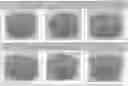 Fig. 01 - A PETFOOD COMPOSITION AND PROCESS FOR PREPARATION THEREOF