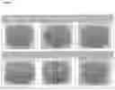 Fig. 02 - A PETFOOD COMPOSITION AND PROCESS FOR PREPARATION THEREOF