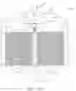 Fig. 29 - APPARATUSES AND SYSTEMS FOR PREPARING A MEAT PRODUCT