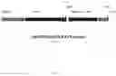 Fig. 15 - Steviol glycoside transport