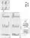 Fig. 09 - REBAUDIOSIDE A AND STEVIOSIDE WITH IMPROVED SOLUBILITIES