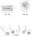 Fig. 03 - TOBACCO CONSTITUENT RELEASING COMPONENTS, METHODS OF MAKING THE COMPONENTS AND ARTICLES COMPRISING THE COMPONENTS