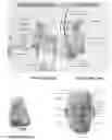 Fig. 03 - PERSONAL PROTECTIVE EQUIPMENT AND METHODS