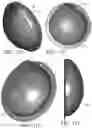 Fig. 71 - PERSONAL PROTECTIVE EQUIPMENT